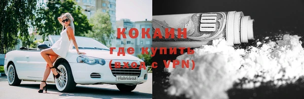 стаф Покачи