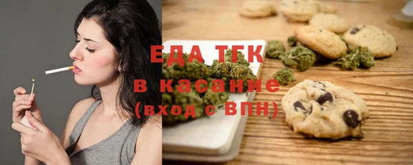 дмт Бородино