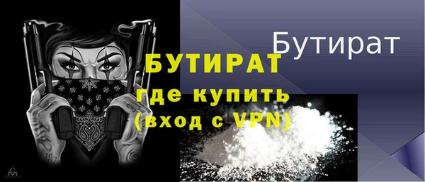 дмт Бородино