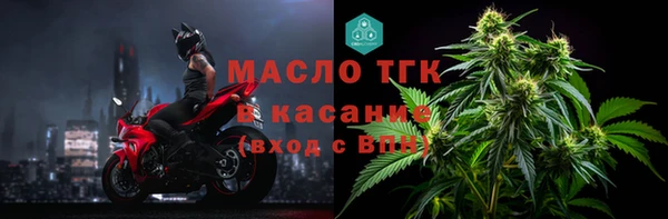 дмт Бородино