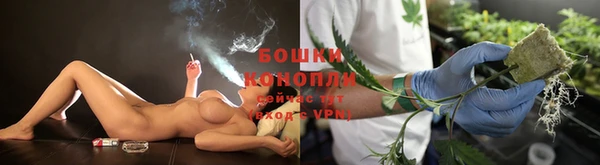 тгк Волоколамск