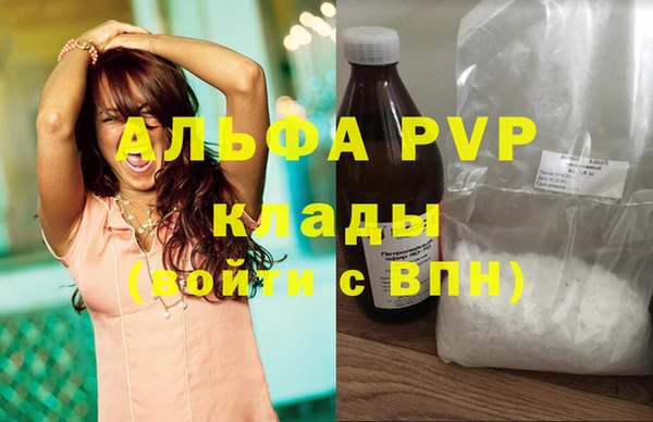 дмт Бородино
