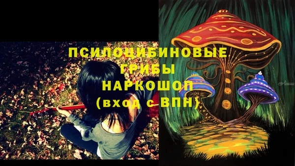 молекула духа Володарск
