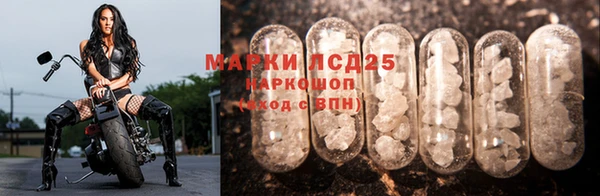 молекула духа Володарск