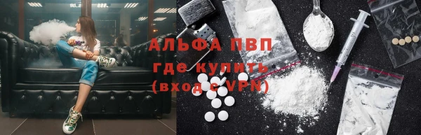 стаф Покачи